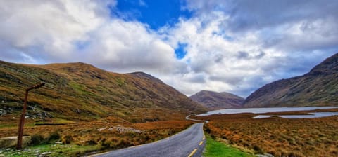 Nearby landmark, Neighbourhood