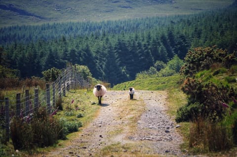 Natural landscape, Mountain view