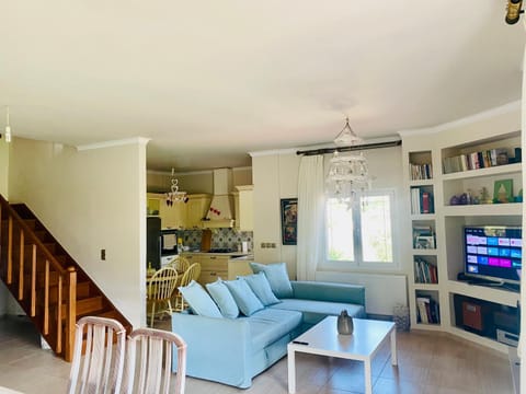 TV and multimedia, Living room, fireplace