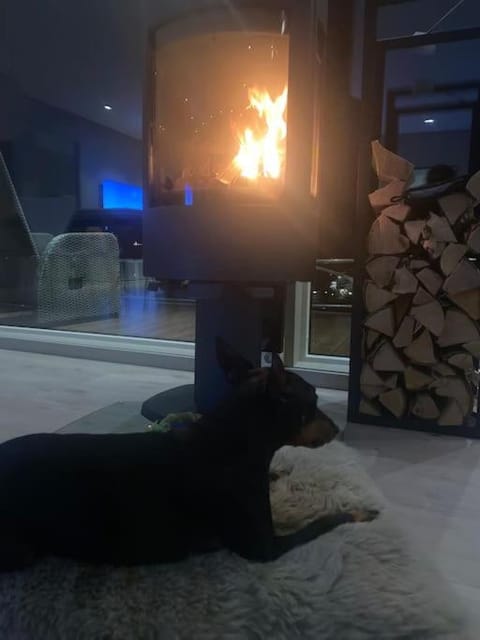 FunkisFygle-Luxuriøs Villa midt i Lofoten Villa in Lofoten