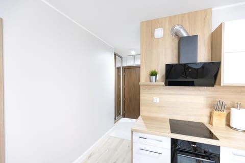 TV and multimedia, Kitchen or kitchenette, dishwasher, minibar, oven, pet friendly, stove