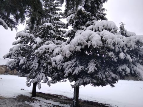 Day, Natural landscape, Winter