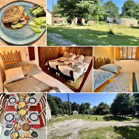Garden, Food and drinks, Garden view