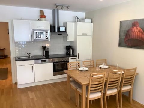 Steinadler Gamsleiten FL - Skiing Holiday in Obertauern Apartment in Obertauern