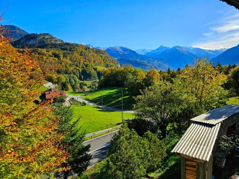 Mountain view