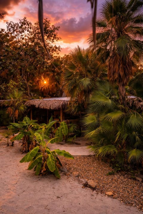 View (from property/room), Balcony/Terrace, Garden view