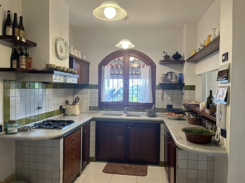 Kitchen or kitchenette, minibar, pet friendly, stove