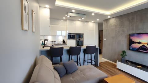 TV and multimedia, Kitchen or kitchenette, Living room, Seating area, Dining area, minibar, oven