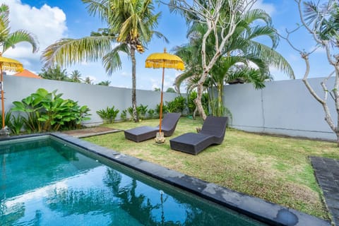 Garden, Swimming pool, sunbed