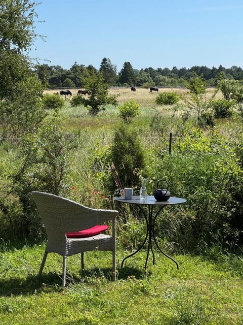 Natural landscape, Garden, Garden view