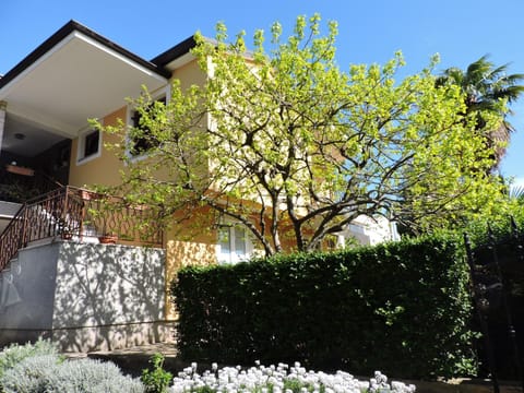 Apartmani Karpinjan - Novigrad Apartment in Novigrad