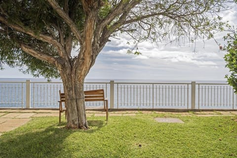 Patio, Garden, Garden view