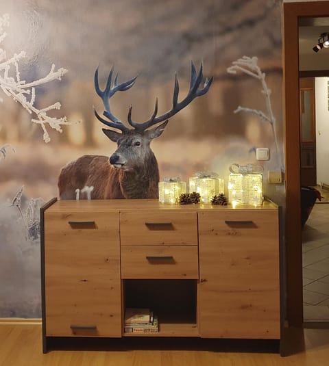 LECHUFER, 80m2, Haushälfte mit privatem Eingang, Kaminofen, Terrasse, Garten Apartment in Schwangau