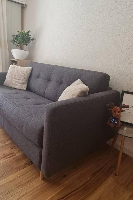 Appartement rénové avec charme Apartment in Canton of Vaud