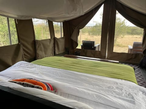Bed