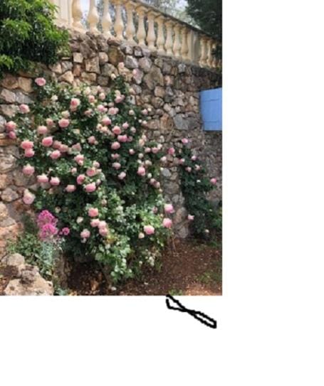 La Galis Villa in French Riviera