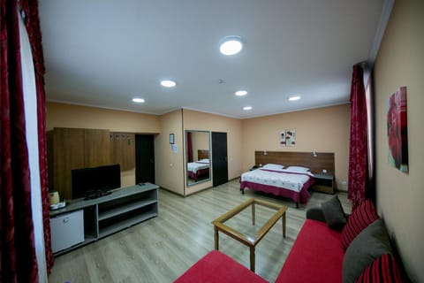 Bed, TV and multimedia, Living room, Photo of the whole room, Decorative detail, Seating area, Bedroom