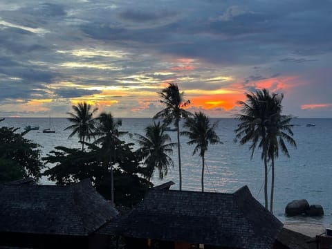 Blue Chitta Yoga & Freediving Hostel in Ko Tao