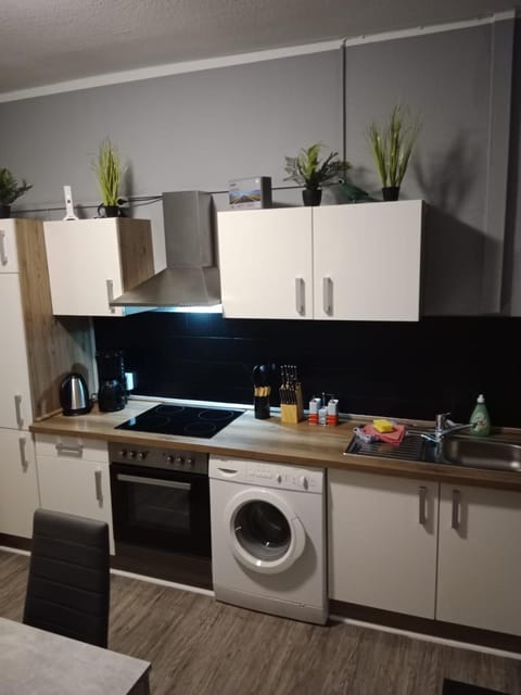 Kitchen or kitchenette, pet friendly, stove, washing machine