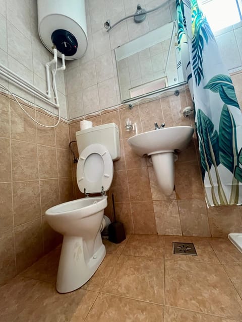 Sole Apartment in Serbia