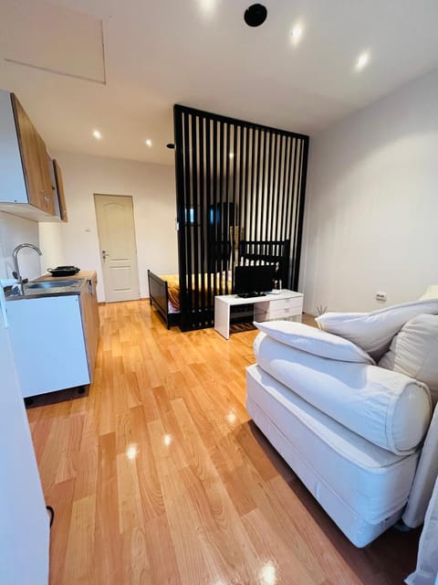 Sole Apartment in Serbia