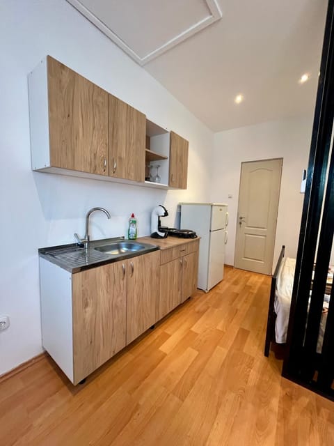 Sole Apartment in Serbia