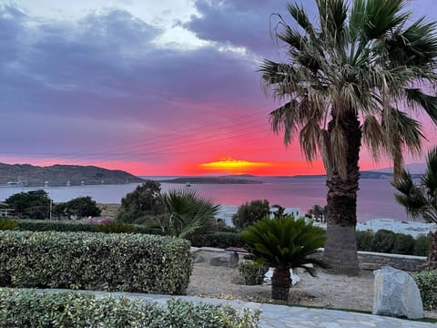 Sea view, Sunrise
