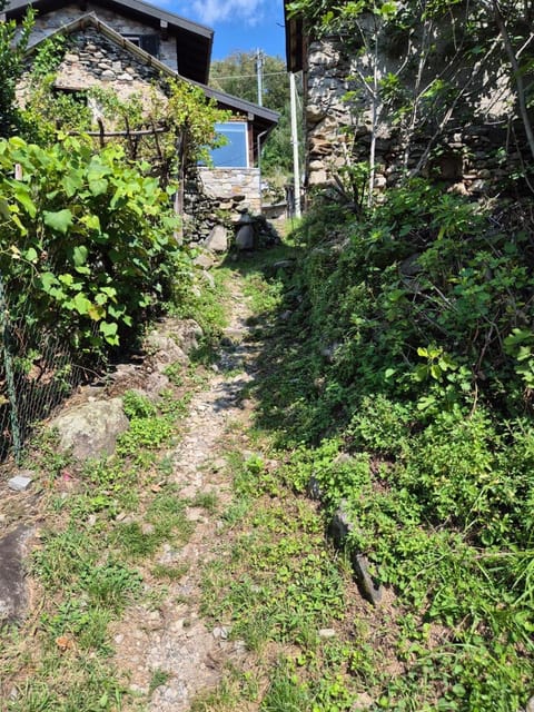 Cottage Orsola by KlabHouse Apartment in Canton of Grisons