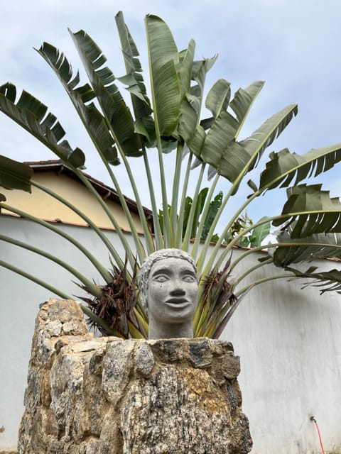 Property building, Day, Garden, Garden view, Swimming pool