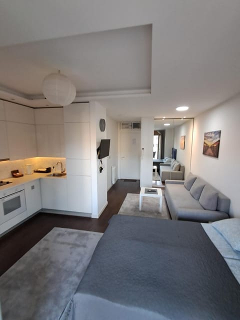 Apartment Premier 2 A Blok Apartment in Belgrade