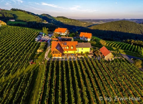 Property building, Restaurant/places to eat, Bird's eye view, Summer