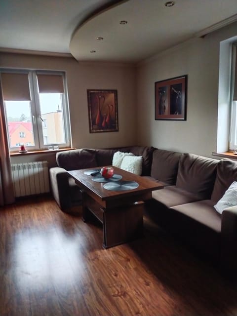 Apartament w centrum Apartment in Lithuania