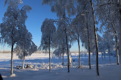 Day, Natural landscape, Winter