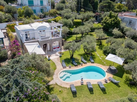 Luxury central Villa with pool and privacy Villa in Anacapri