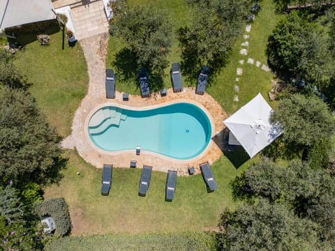 Luxury central Villa with pool and privacy Villa in Anacapri