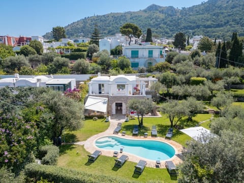 Luxury central Villa with pool and privacy Villa in Anacapri