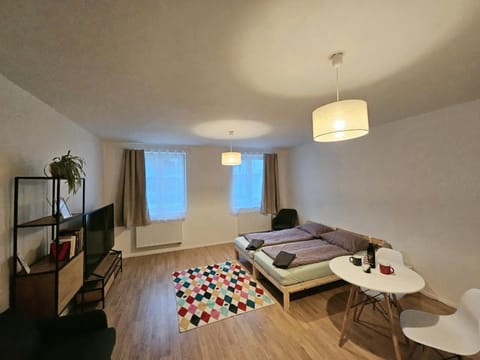 Bed, TV and multimedia, Living room, Photo of the whole room, Evening entertainment, Bedroom