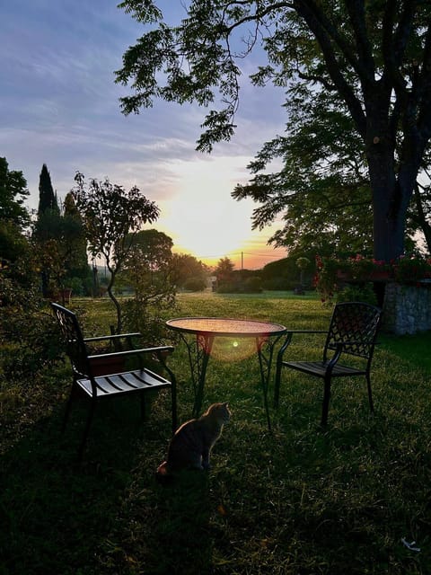 Agriturismo Podere Luchiano Farm Stay in Umbria