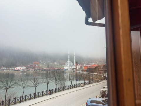 Lake view