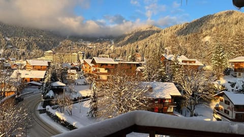 Le Bristol - Villars Bristol Apartments Apartment in Ollon