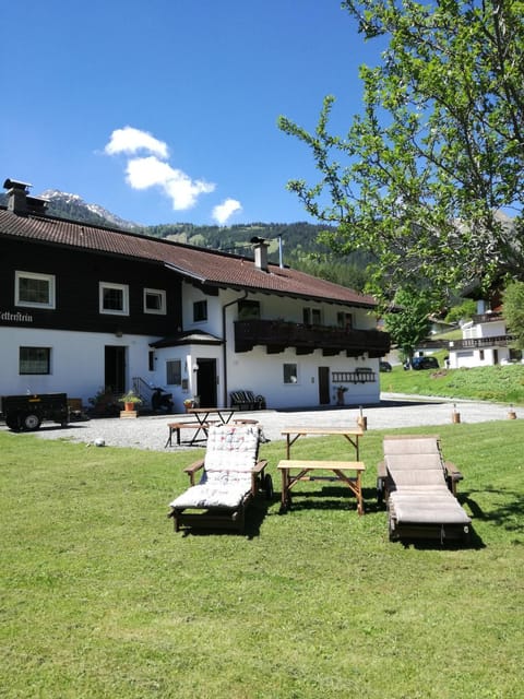 Patio, Facade/entrance, Summer, Garden view