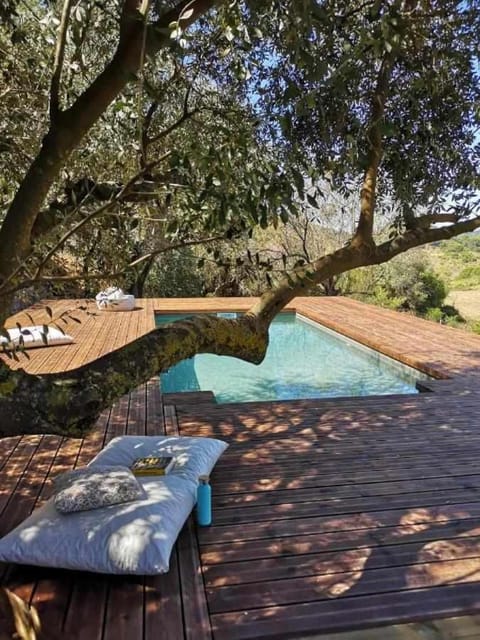 Spring, Day, Natural landscape, Pool view, Swimming pool