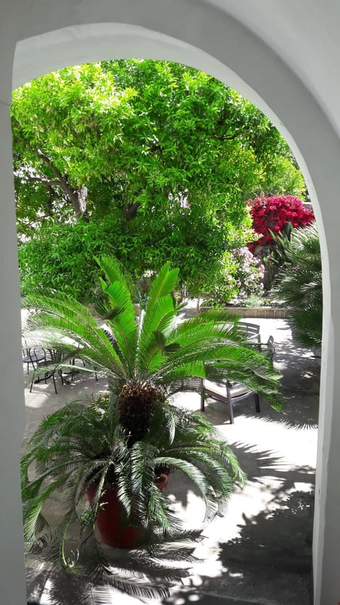 Patio, Garden