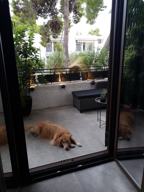 Poros Maisonette Apartment - Neorio House in Poros