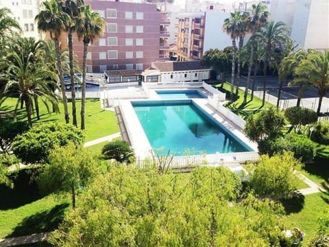 Garden, Garden view, Pool view, Swimming pool