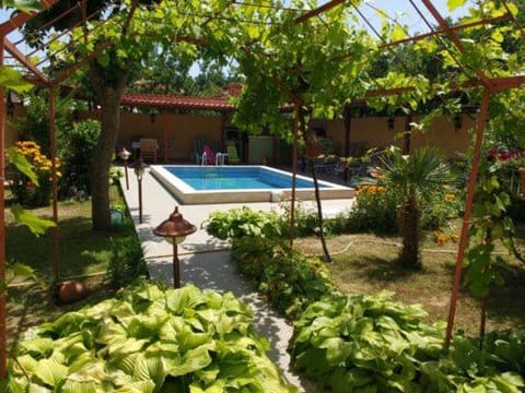 Pool view, Swimming pool, Entertainment