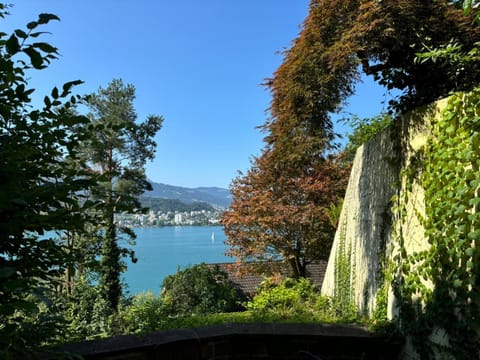 Luzern See Apartment in Lucerne