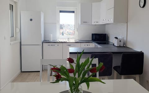 dishwasher, minibar, oven, toaster, kitchen, kitchen