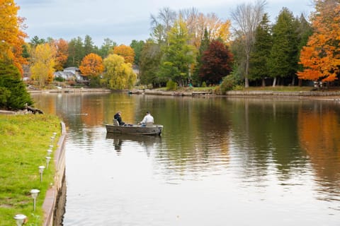 Natural landscape, Activities, Beach, Lake view, River view