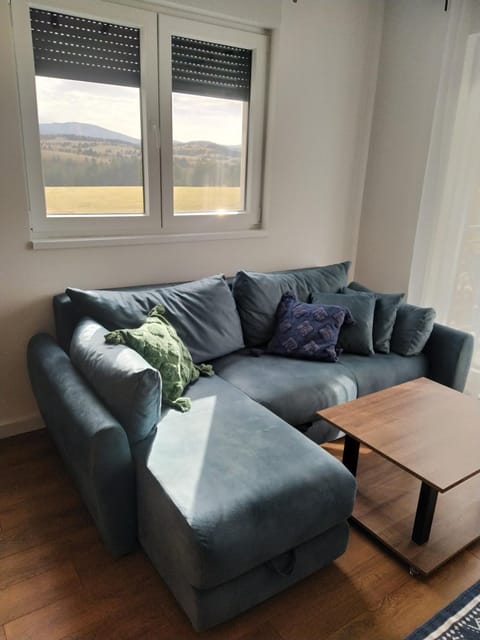 Living room, Seating area, Mountain view